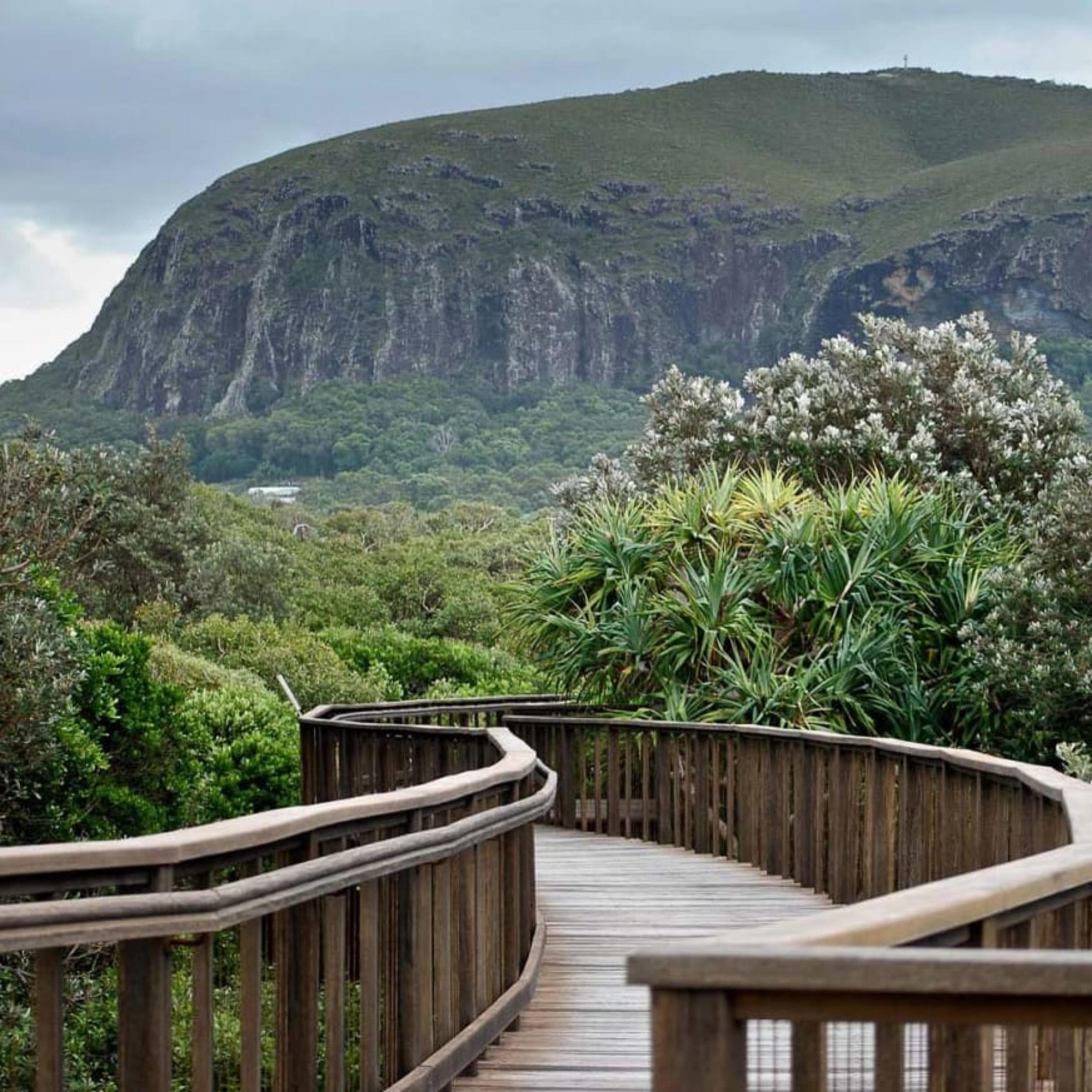 Mount Coolum (Image Credit: Bronwyn Harm)