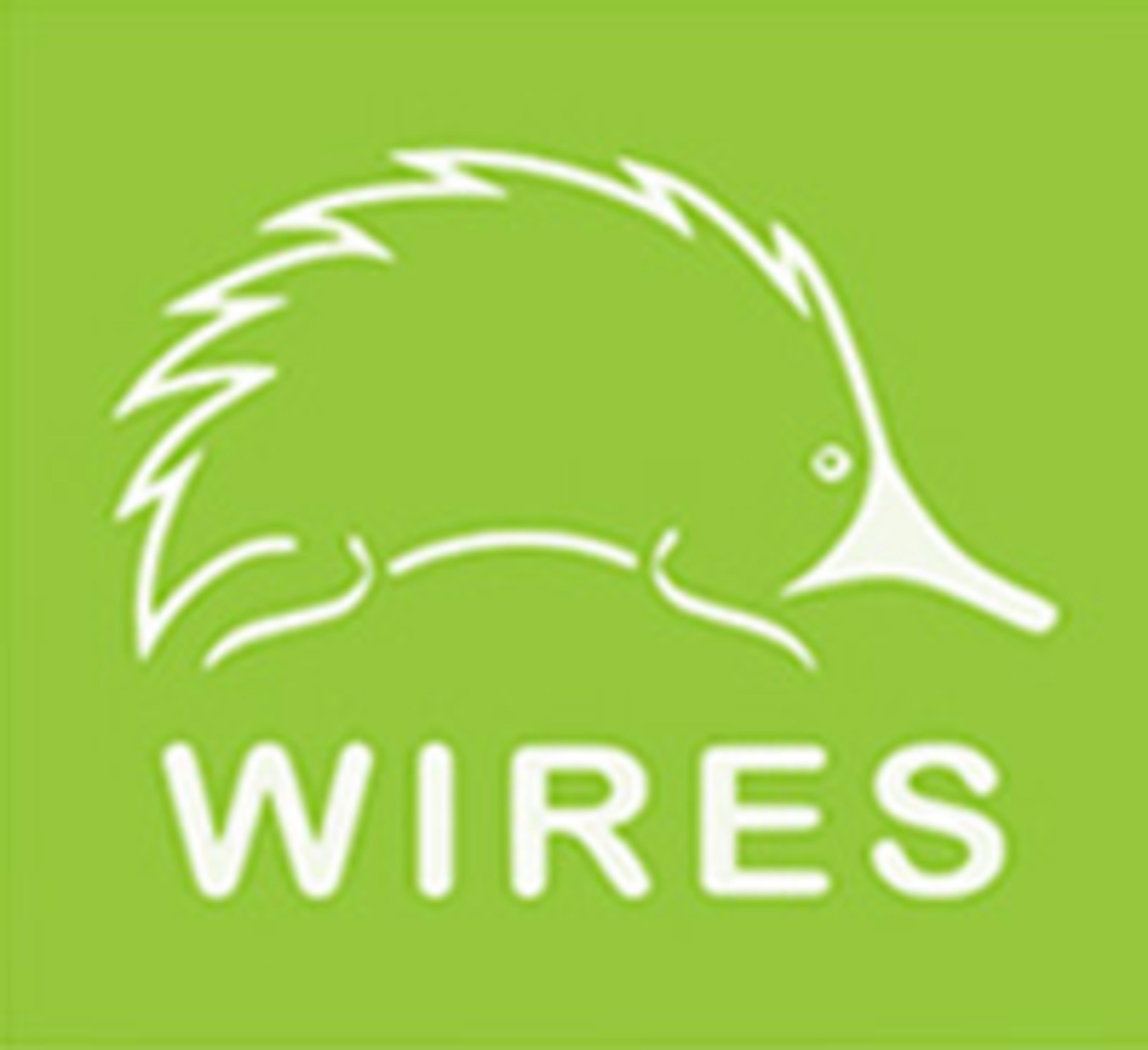 Wires Image