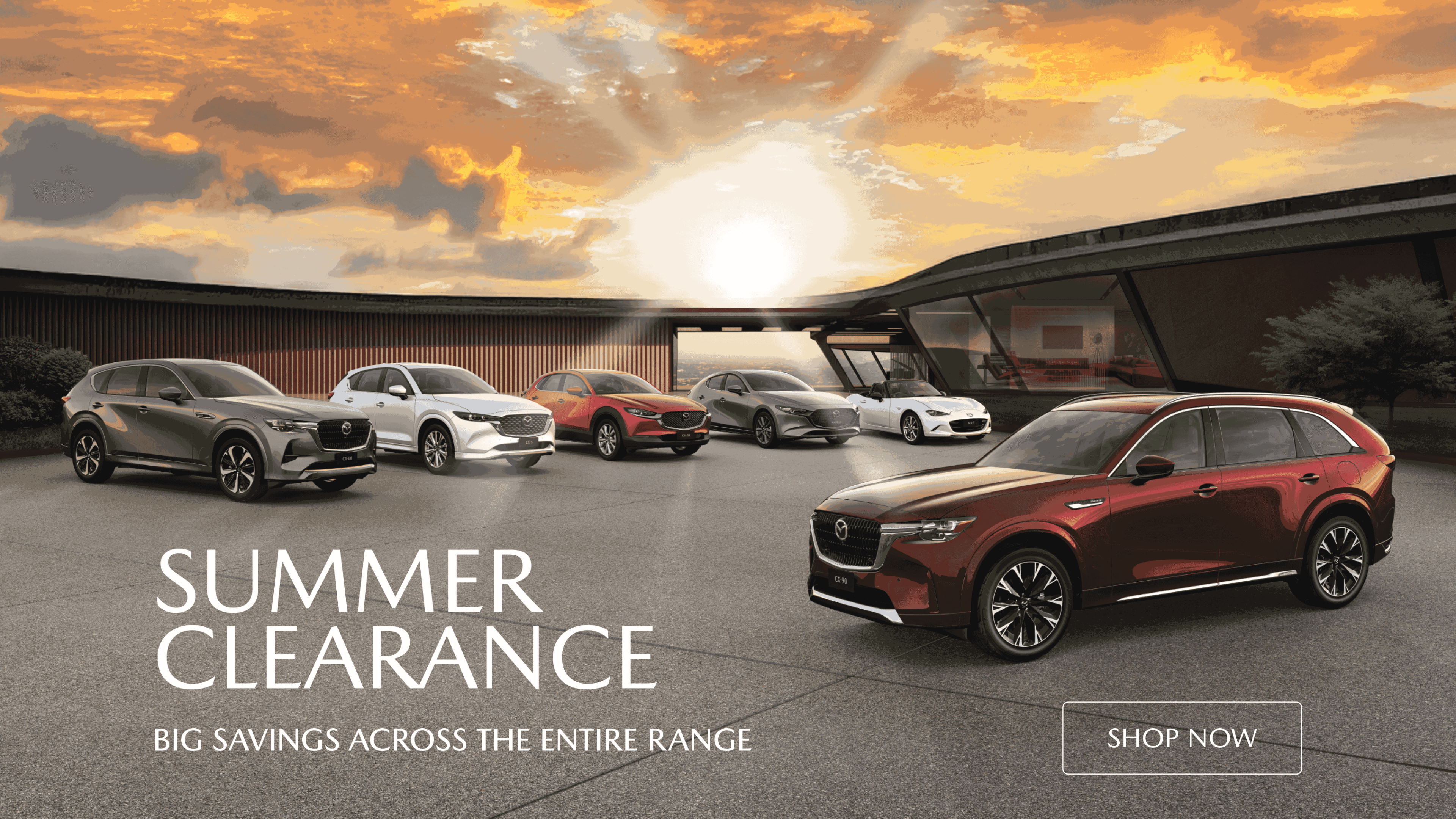 Summer Plate Clearance