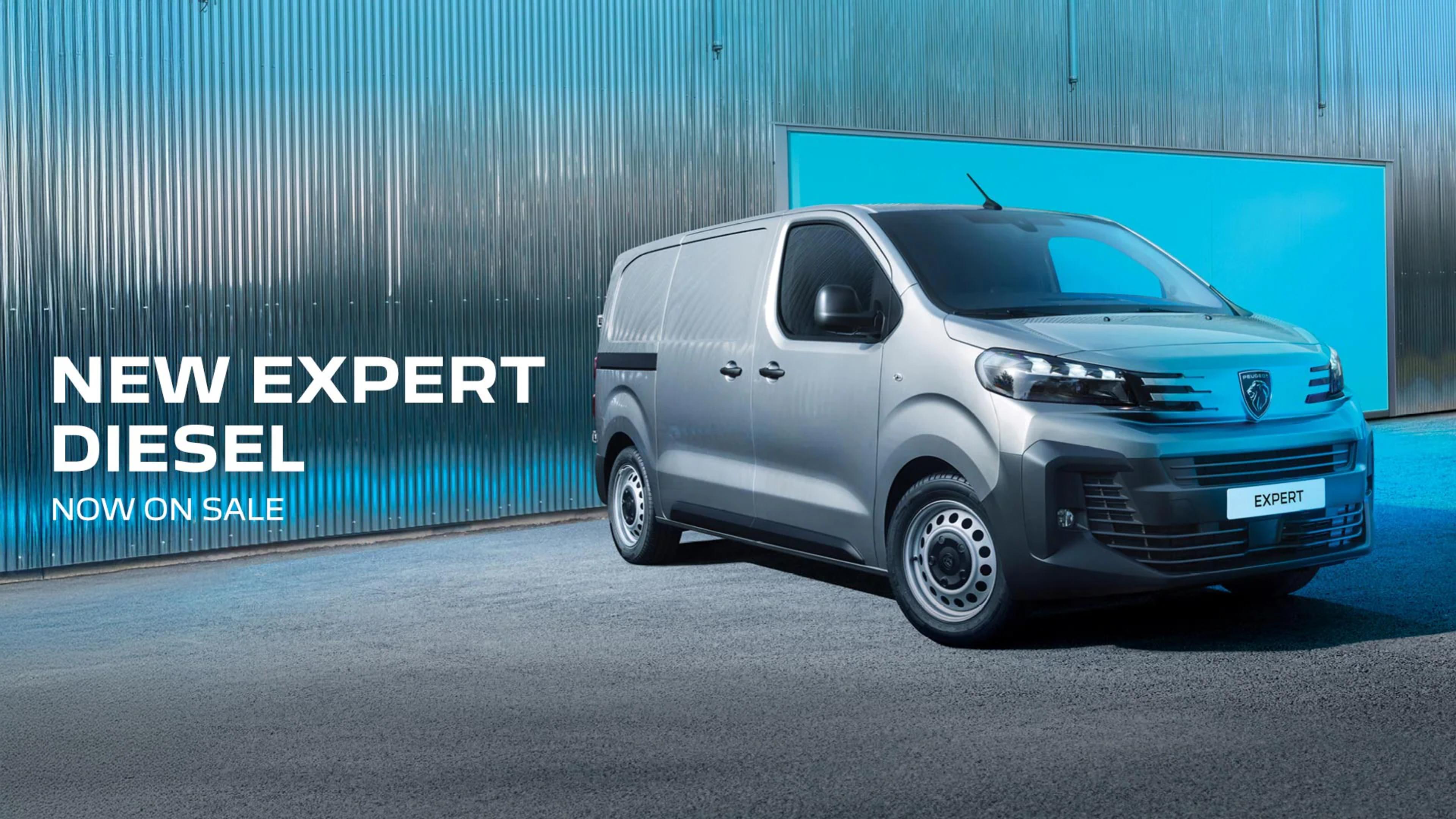 MY25 Expert Van
