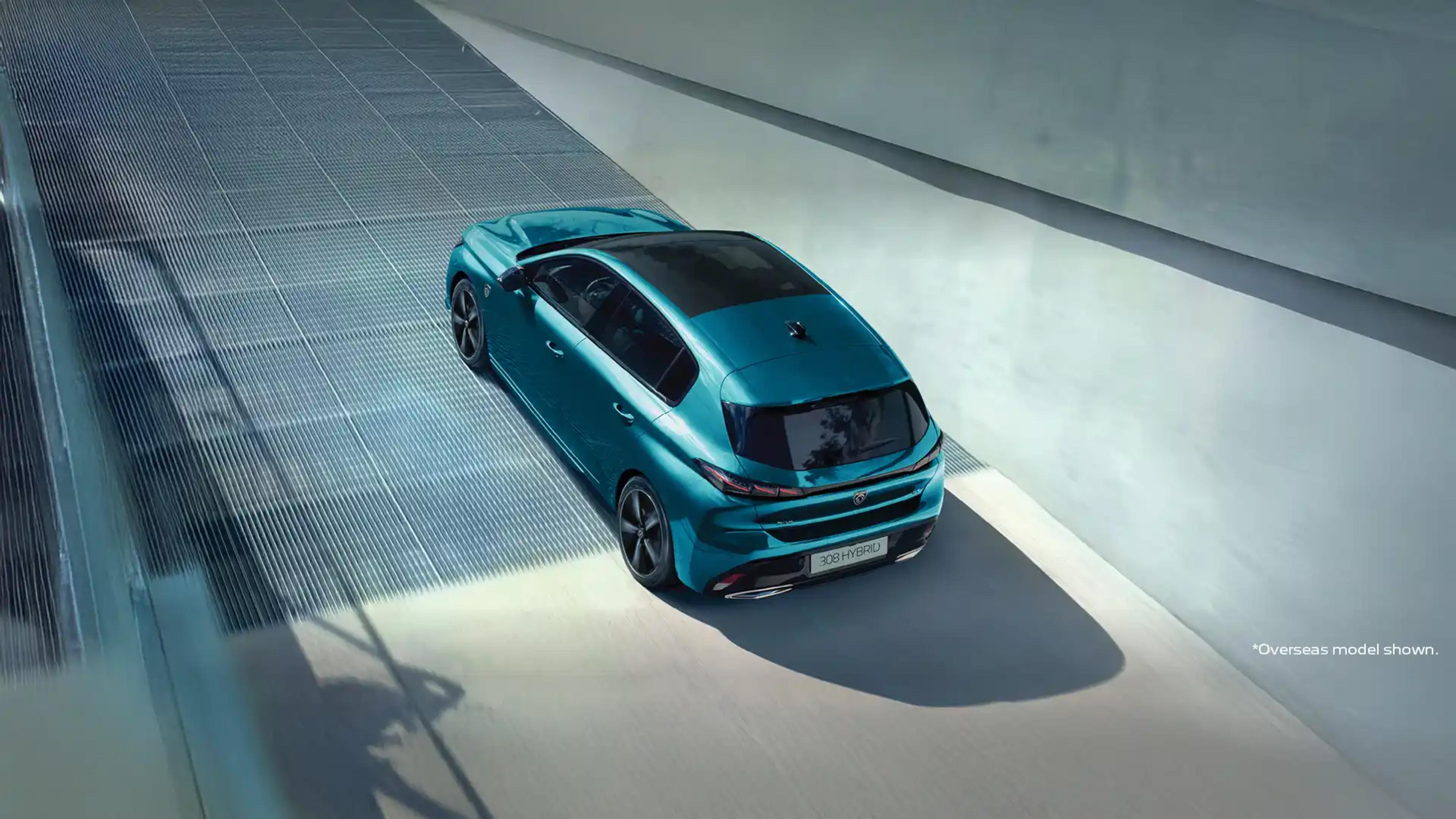 308 Hybrid Hatch