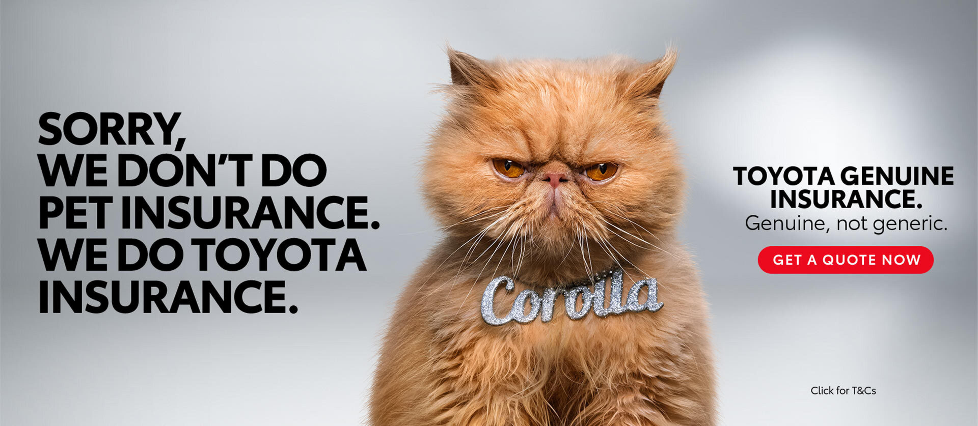 A new car promotion