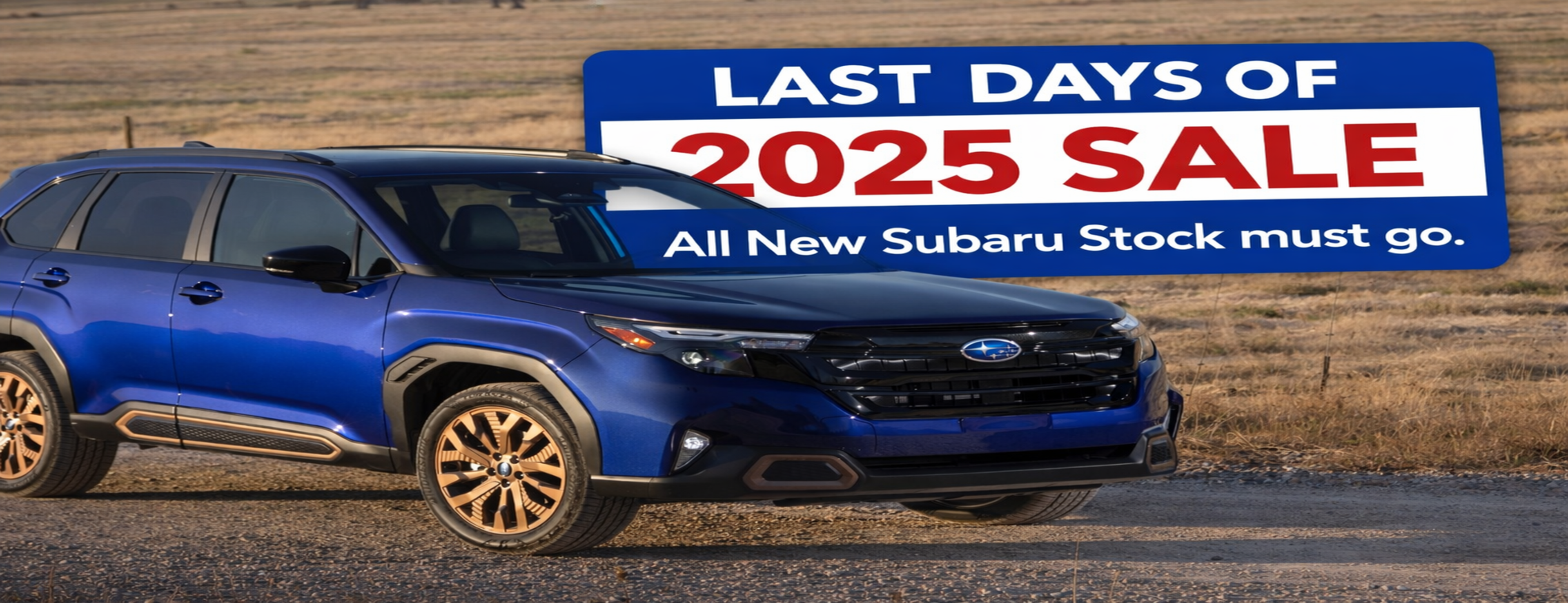 Last Days of 2025 Sale.  