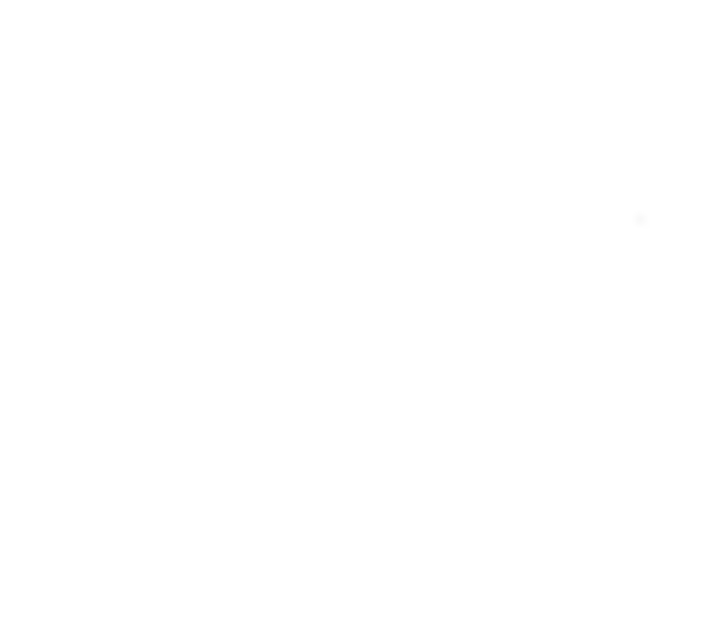 Ferntree Gully LDV logo