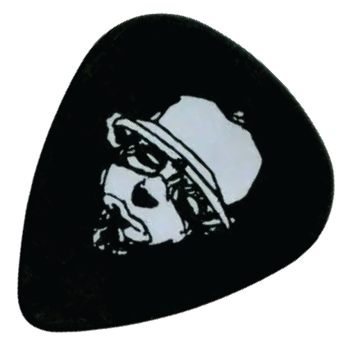 Promotional Guitar Plectrums with a printed logo to 1 side from Total Merchandise