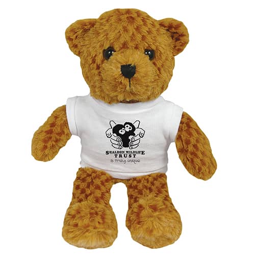 Promotional 9 Inch Jango Bear with a company logo printed to the T Shirt from Total Merchandise