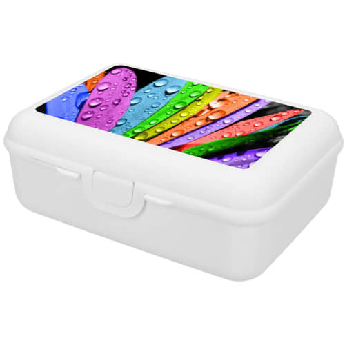 Polypropylene Lunch Boxes