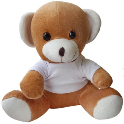 10 Inch Jay Jay Bear with T Shirt for Kids Merchandise