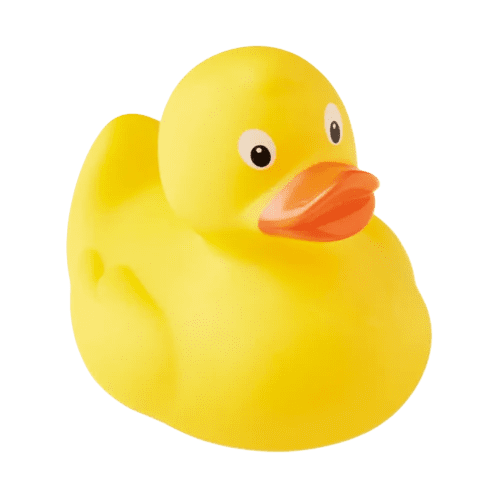 Plastic Toy Ducks