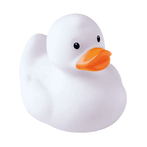 Plastic Toy Ducks