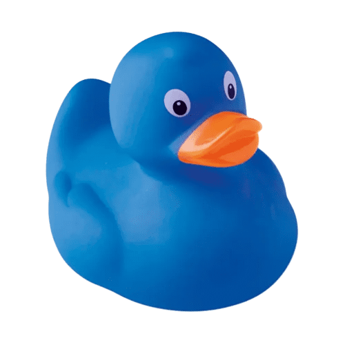 Plastic Toy Ducks