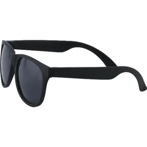 Printed Fiesta Sunglasses in Black