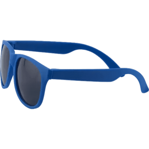 Printed Fiesta Sunglasses in Blue