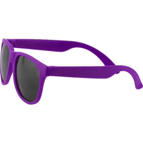 Printed Fiesta Sunglasses in Purple