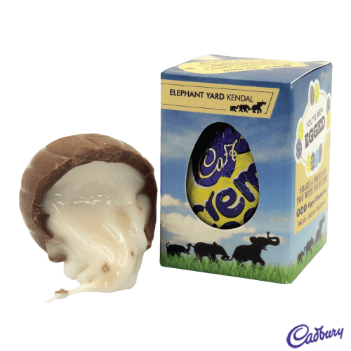Promotional Chocolate Eggs Printed with Your Company Logo