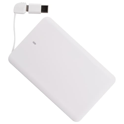 Corporate Branded Phone Chargers with Type C Adaptors