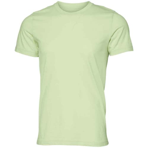 Unisex Jersey Crew Neck T Shirt in Spring Green