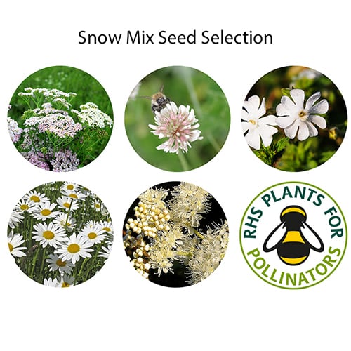 Snow Mix Desktop Garden Tube