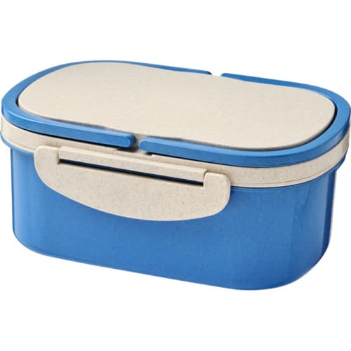 Promotional Lunch Box for School Merchandise