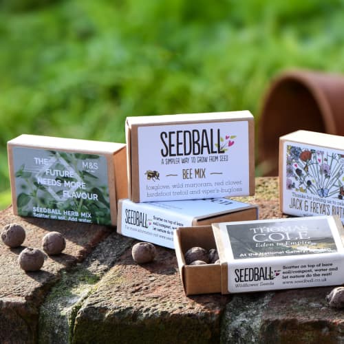 Personalised Matchbox Seeds