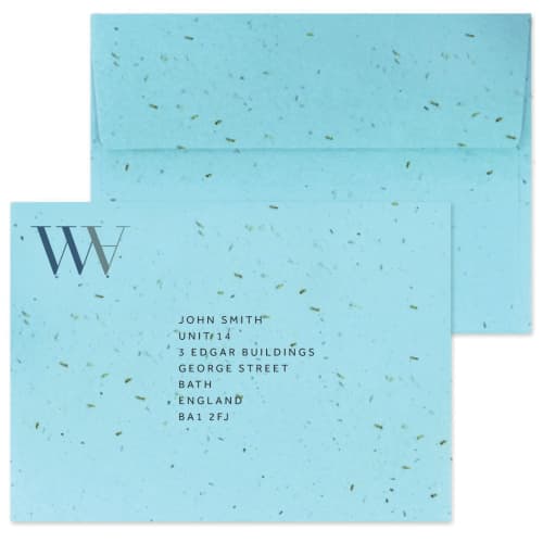 Eco Seed Paper Envelopes In Blue