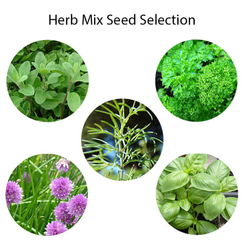 Range of herbs available for branded herb mix plat pots