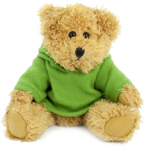 20cm Sparkie Bear with Green Hoody