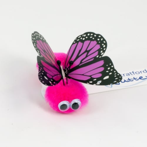 Promotional Dark Pink Butterfly Message Bugs