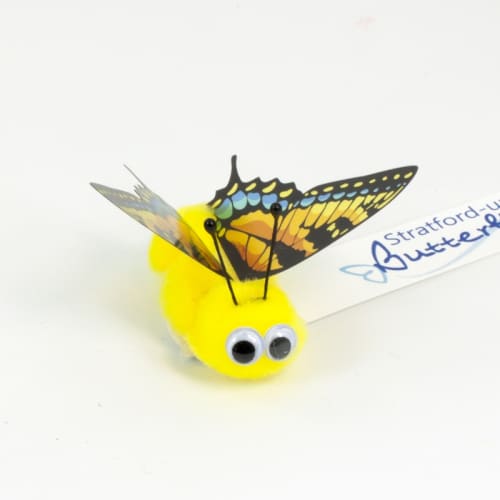 Promotional Vibrant Butterfly Message Bugs