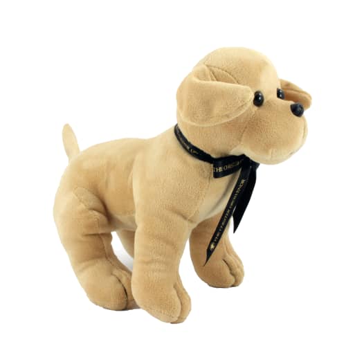 Printed bow dog teddies at corporate gifts