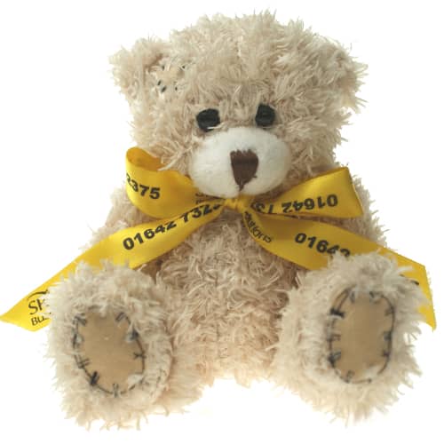 Promotional Paw Teddy Bears with Bows in Cappuccino Printed with Your Logo from Total Merchandise