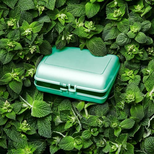 Branded Reusable and Recyclable Lunchbox in Mint Colour Made from Bio-plastic by Total Merchandise