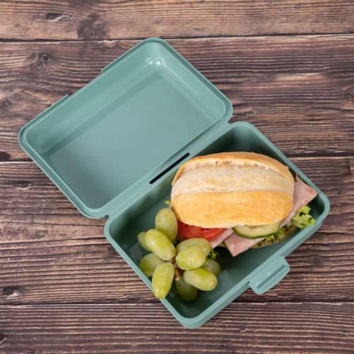 Recyclable School Lunch Boxes