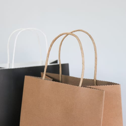 Brunswick Medium Paper Bag