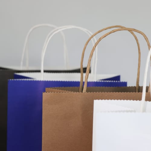 Brunswick Medium Paper Bag