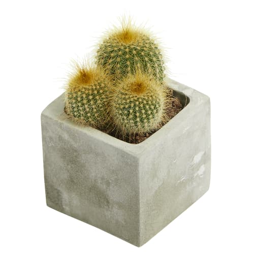 Engraved Concrete Planted Cactus Pots in Rock colour branded with your logo by Total Merchandise