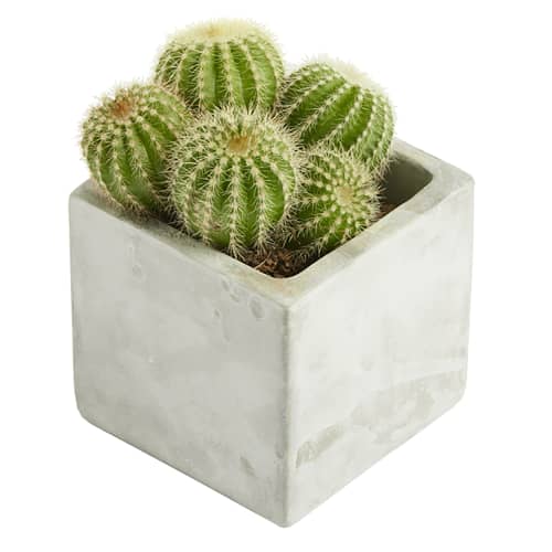 Branded Concrete Planted Cactus Pots in Marble colour with your logo by Total Merchandise