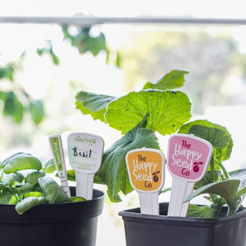 Example of use for Plant Marker Kits in white with plants by Total Merchandise