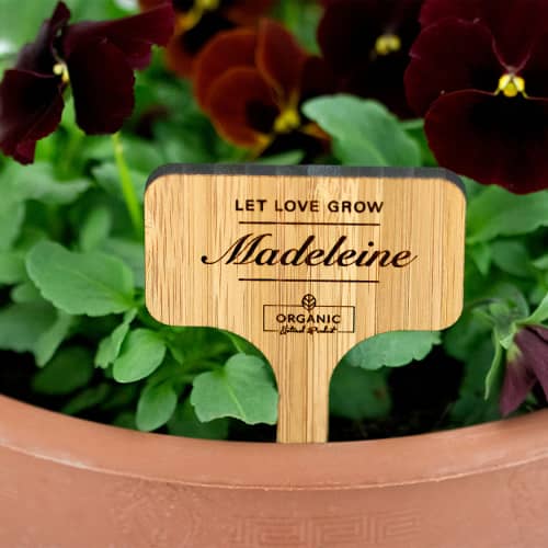 Branded Bamboo Plant Markers in Caramel colour with individually engraved names by Total Merchandise