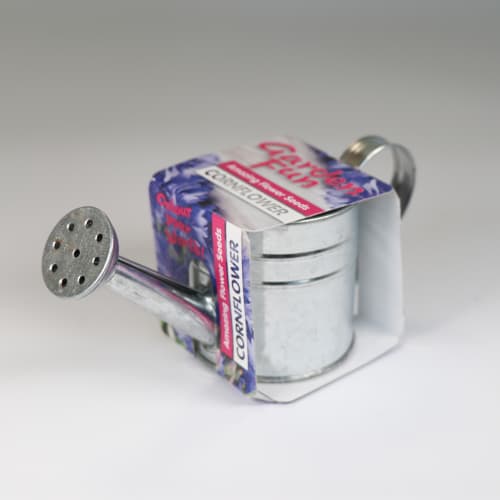 Mini Watering Can Grow Your Own Kits
