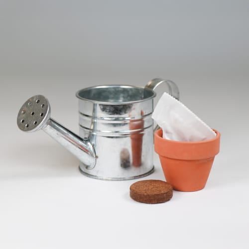 Mini Watering Can Grow Your Own Kits