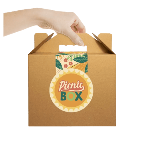 Picnic Lunch Boxes