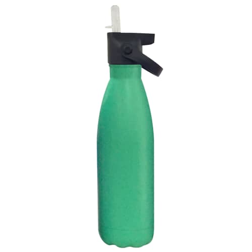 Capella Metal Bottle with Flip Lid in Matt Mint