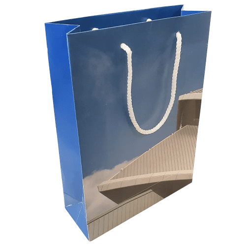 Medium Gift Bag