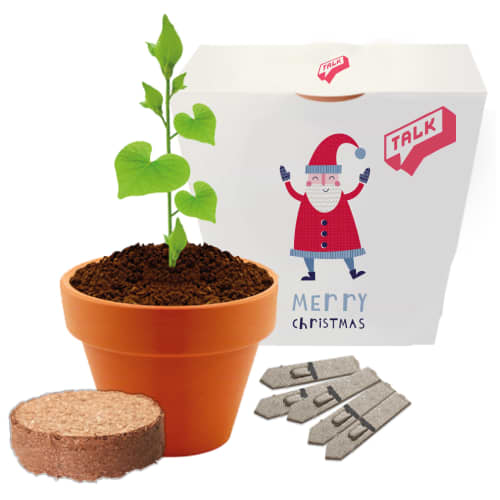 Clay Pot Grow Kits