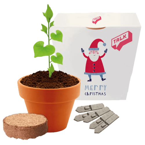 Clay Pot Grow Kits