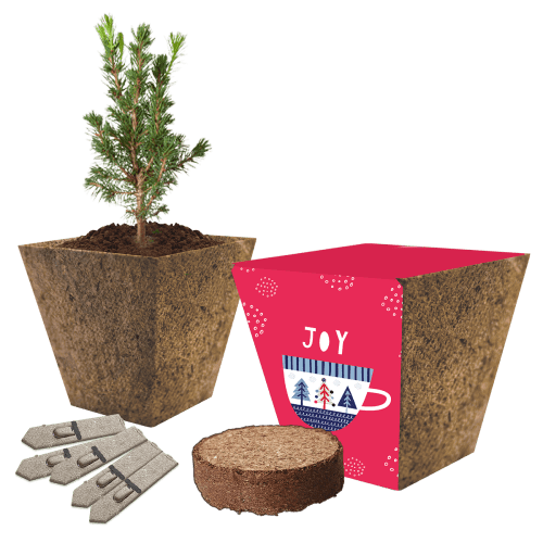 Christmas Wood Fibre Grow Kits in Natural colour with printed logo design by Total Merchandise