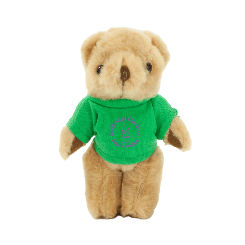Honey Jointed Bear with T-shirt in Light Brown/Green