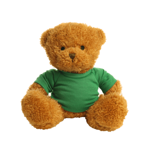 18cm James Teddy Bear in Green