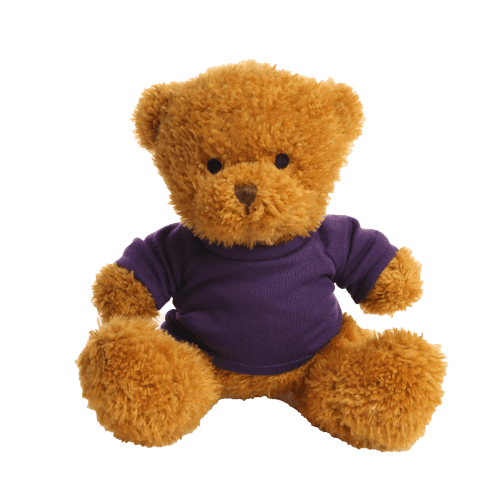 18cm James Teddy Bear in Purple